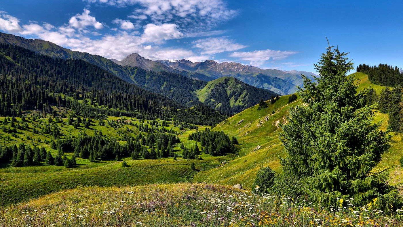 Tecedu Innovations for Education 4.0  International Educational Programmes: Differences in Approaches between Developed and Developing Countries